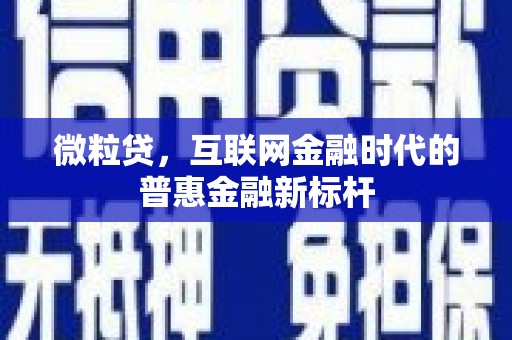 湾仔区微粒贷，互联网金融时代的普惠金融新标杆