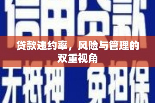 湾仔区贷款违约率，风险与管理的双重视角