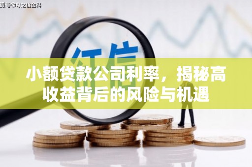 湾仔区小额贷款公司利率，揭秘高收益背后的风险与机遇
