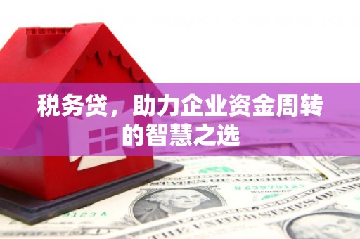 湾仔区税务贷，助力企业资金周转的智慧之选