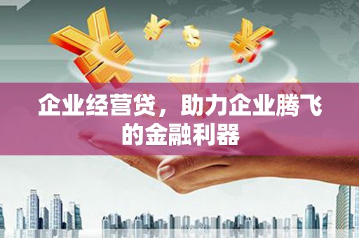 湾仔区企业经营贷，助力企业腾飞的金融利器