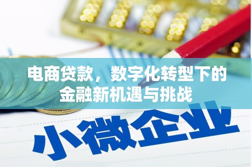 湾仔区电商贷款，数字化转型下的金融新机遇与挑战