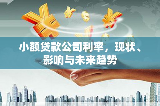 湾仔区小额贷款公司利率，现状、影响与未来趋势