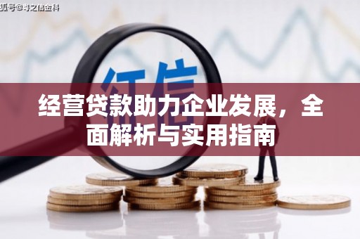 湾仔区经营贷款助力企业发展，全面解析与实用指南