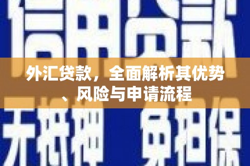 湾仔区外汇贷款，全面解析其优势、风险与申请流程