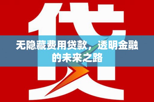 湾仔区无隐藏费用贷款，透明金融的未来之路