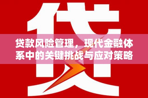 湾仔区贷款风险管理，现代金融体系中的关键挑战与应对策略