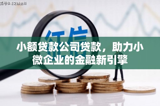 湾仔区小额贷款公司贷款，助力小微企业的金融新引擎