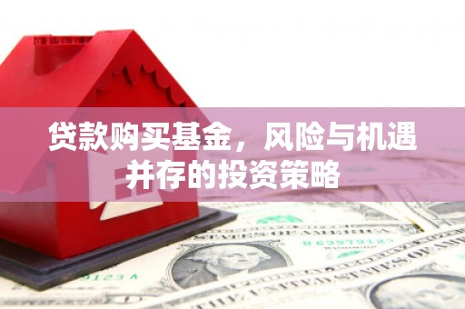 湾仔区贷款购买基金，风险与机遇并存的投资策略
