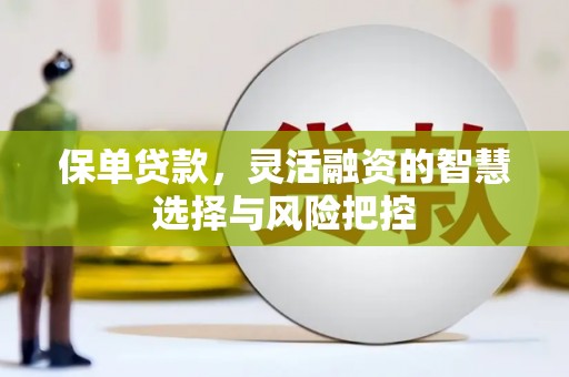 湾仔区保单贷款，灵活融资的智慧选择与风险把控