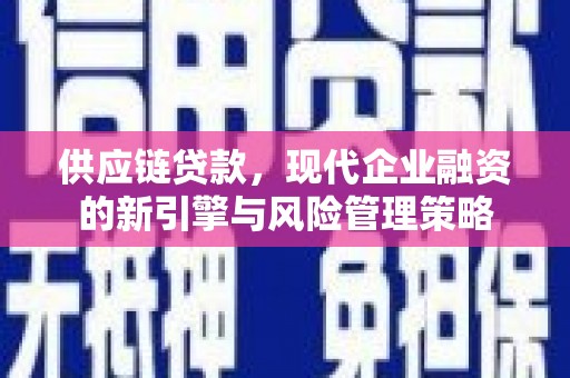 湾仔区供应链贷款，现代企业融资的新引擎与风险管理策略