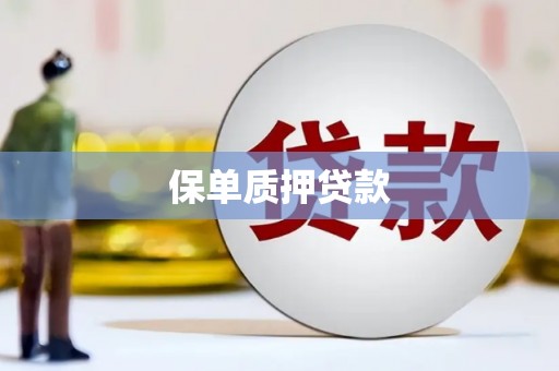 湾仔区保单质押贷款