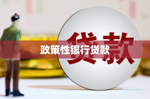 湾仔区政策性银行贷款