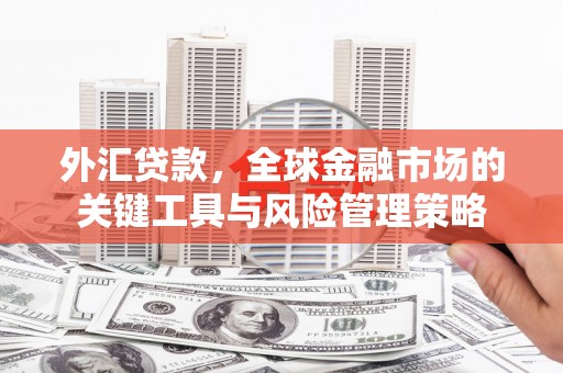 湾仔区外汇贷款，全球金融市场的关键工具与风险管理策略
