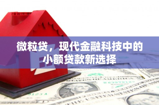 湾仔区微粒贷，现代金融科技中的小额贷款新选择