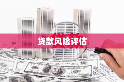 湾仔区贷款风险评估