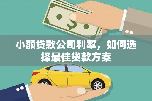 湾仔区小额贷款公司利率，如何选择最佳贷款方案