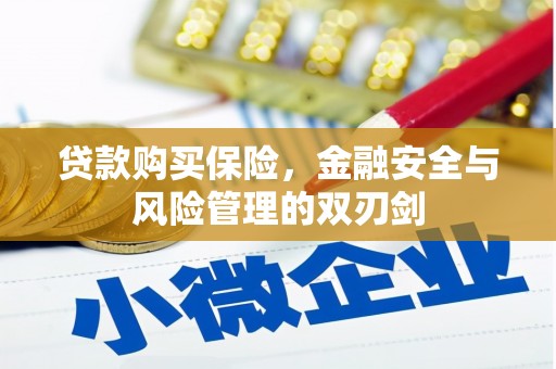 湾仔区贷款购买保险，金融安全与风险管理的双刃剑
