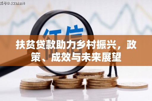 湾仔区扶贫贷款助力乡村振兴，政策、成效与未来展望