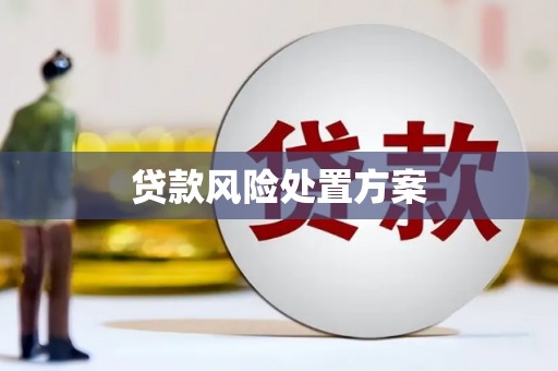 湾仔区贷款风险处置方案