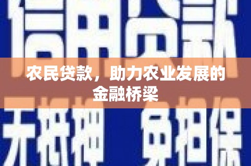 湾仔区农民贷款，助力农业发展的金融桥梁