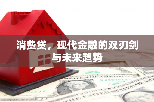 湾仔区消费贷，现代金融的双刃剑与未来趋势