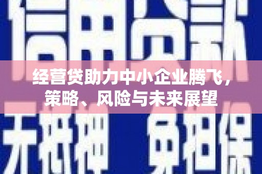 湾仔区经营贷助力中小企业腾飞，策略、风险与未来展望