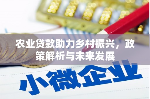 湾仔区农业贷款助力乡村振兴，政策解析与未来发展