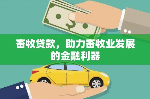 湾仔区畜牧贷款，助力畜牧业发展的金融利器