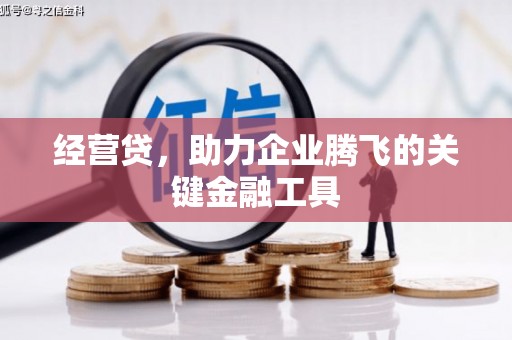 湾仔区经营贷，助力企业腾飞的关键金融工具