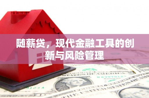 湾仔区随薪贷，现代金融工具的创新与风险管理