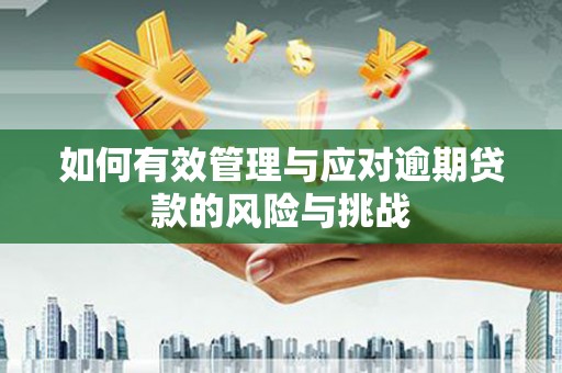 湾仔区如何有效管理与应对逾期贷款的风险与挑战