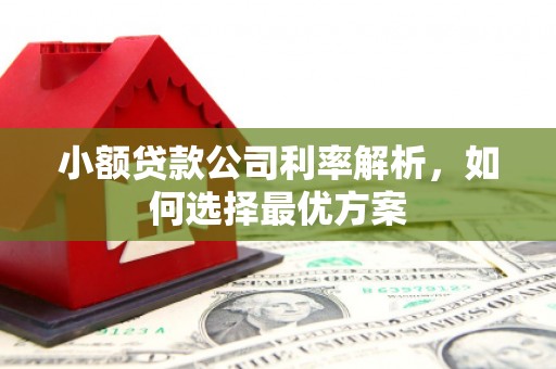 湾仔区小额贷款公司利率解析，如何选择最优方案