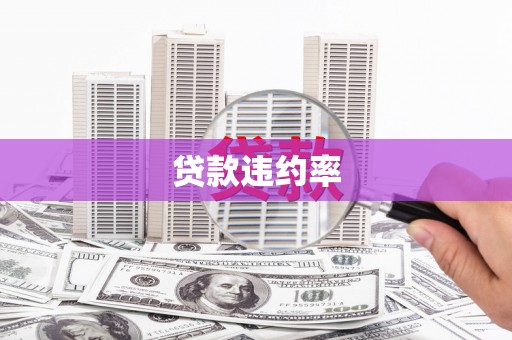 湾仔区贷款违约率