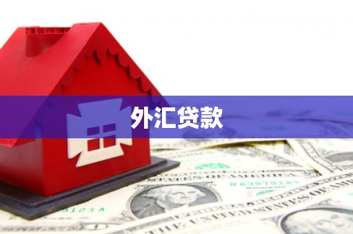 湾仔区外汇贷款