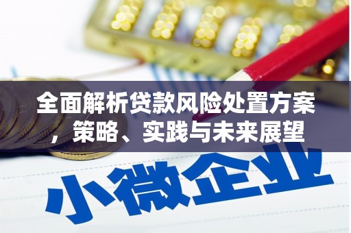 湾仔区全面解析贷款风险处置方案，策略、实践与未来展望