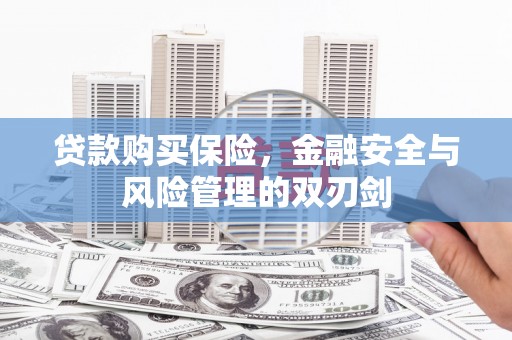 湾仔区贷款购买保险，金融安全与风险管理的双刃剑