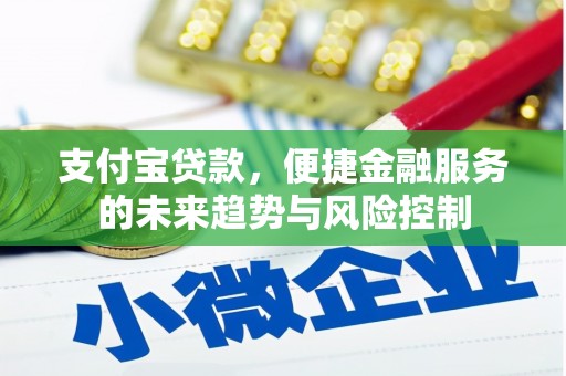 湾仔区支付宝贷款，便捷金融服务的未来趋势与风险控制