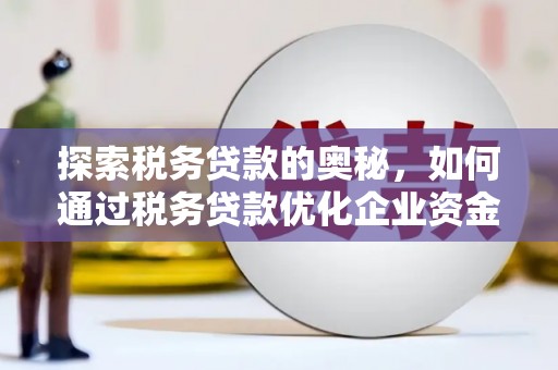 湾仔区探索税务贷款的奥秘，如何通过税务贷款优化企业资金流