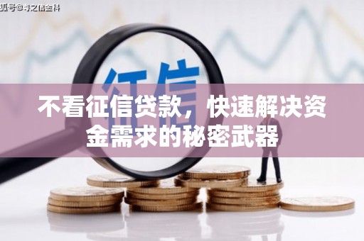 湾仔区不看征信贷款，快速解决资金需求的秘密武器