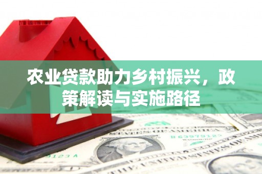 湾仔区农业贷款助力乡村振兴，政策解读与实施路径