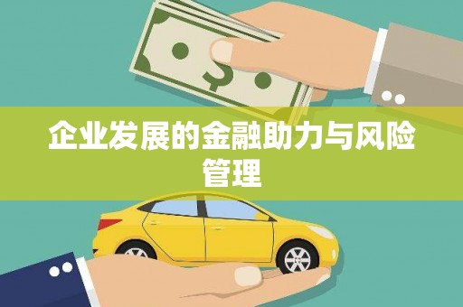 湾仔区企业发展的金融助力与风险管理