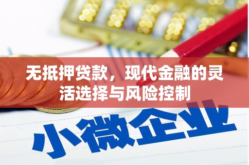 湾仔区无抵押贷款，现代金融的灵活选择与风险控制