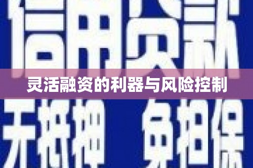 湾仔区灵活融资的利器与风险控制
