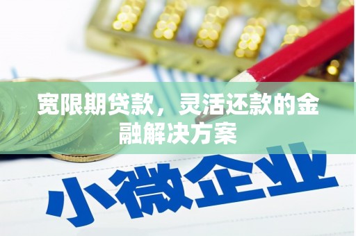 湾仔区宽限期贷款，灵活还款的金融解决方案