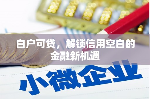 湾仔区白户可贷，解锁信用空白的金融新机遇