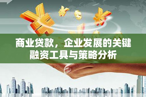 湾仔区商业贷款，企业发展的关键融资工具与策略分析