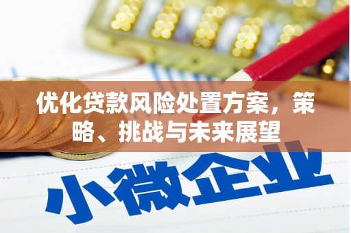 湾仔区优化贷款风险处置方案，策略、挑战与未来展望