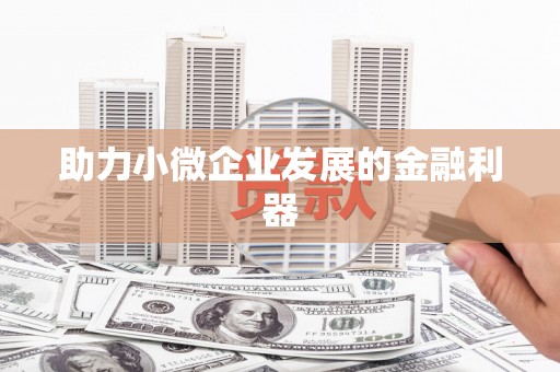 湾仔区助力小微企业发展的金融利器