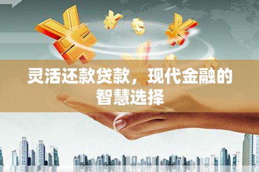 湾仔区灵活还款贷款，现代金融的智慧选择